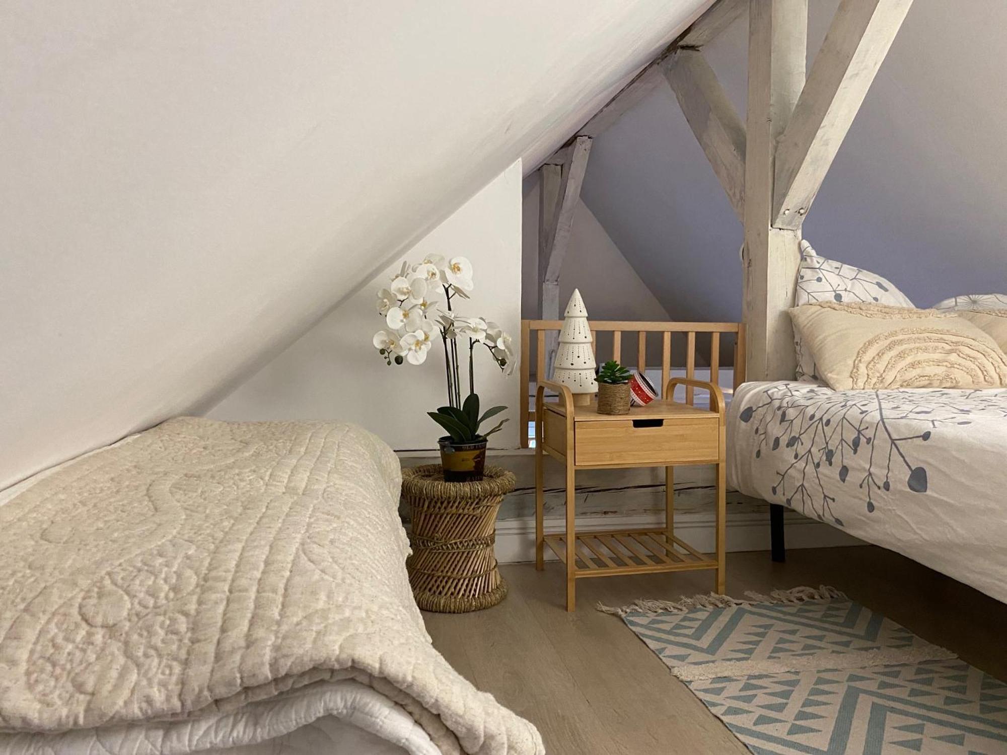 Duplex Spacieux Tout Confort Mulhouse Esterno foto