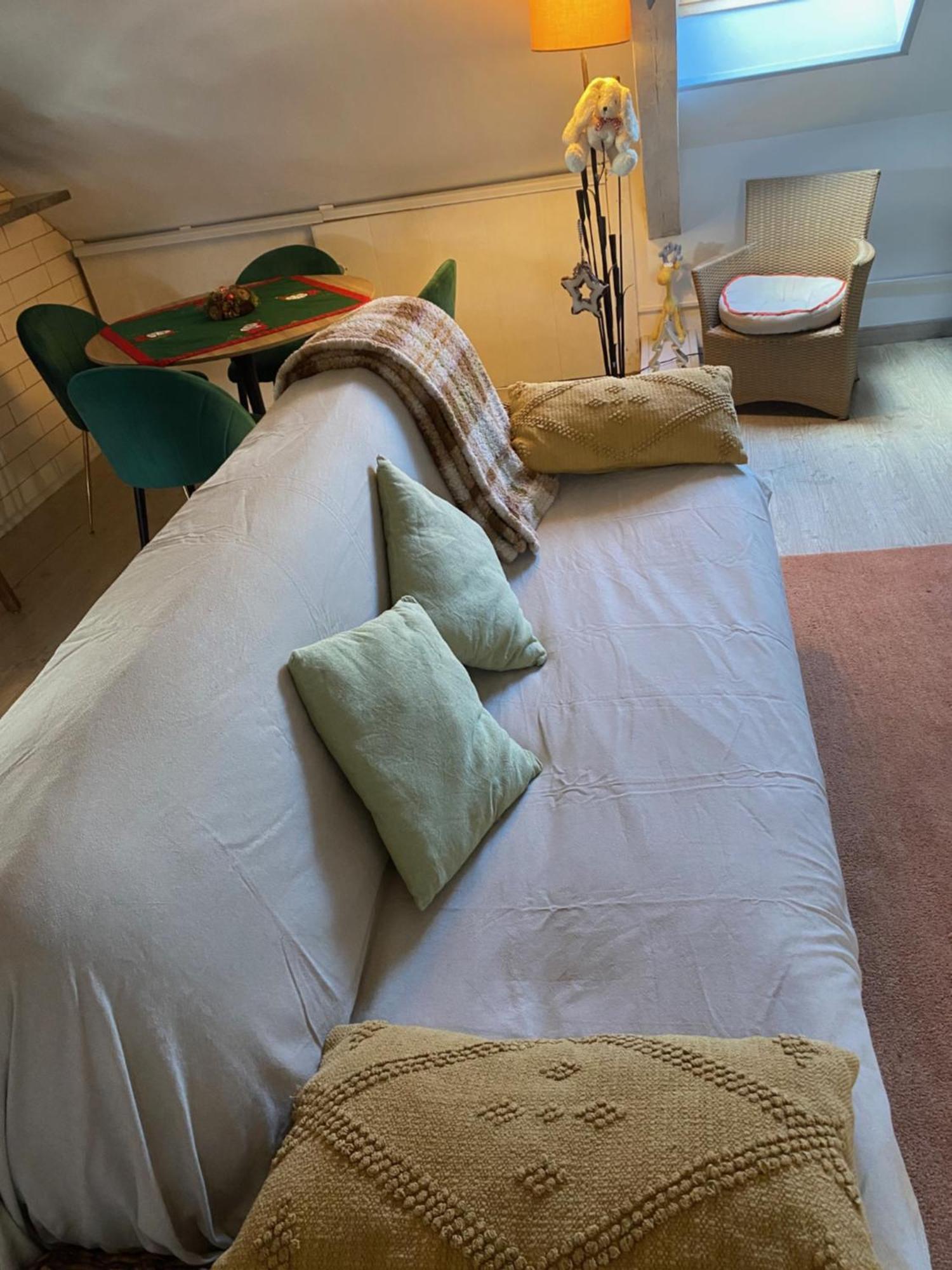 Duplex Spacieux Tout Confort Mulhouse Esterno foto