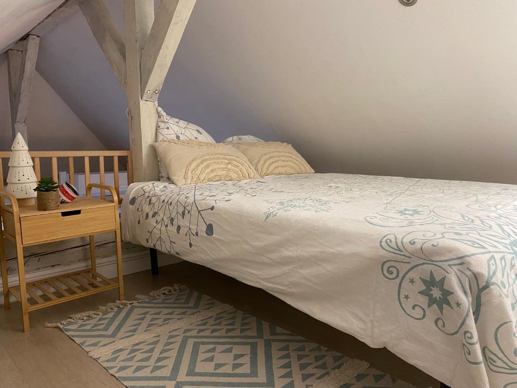 Duplex Spacieux Tout Confort Mulhouse Esterno foto